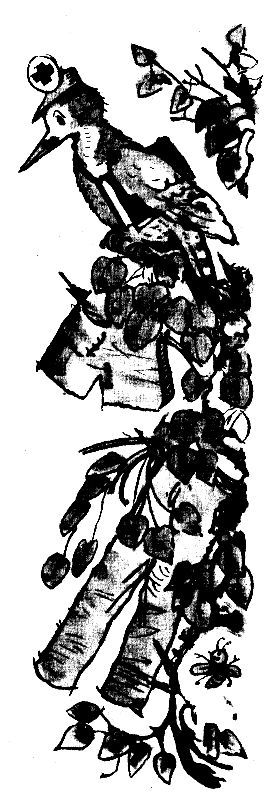 Приключения Кольки Кочерыжкина - pic_7.jpg