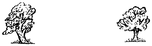 ЭХО. Предания, сказания, легенды, сказки - pic_28.png