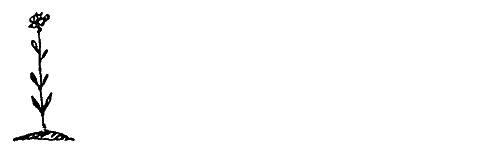 ЭХО. Предания, сказания, легенды, сказки - pic_44.png