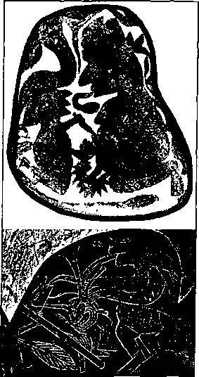 Пришельцы из прошлого - _66.jpg