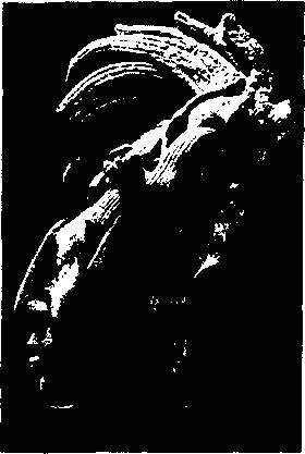 Пришельцы из прошлого - _46.jpg