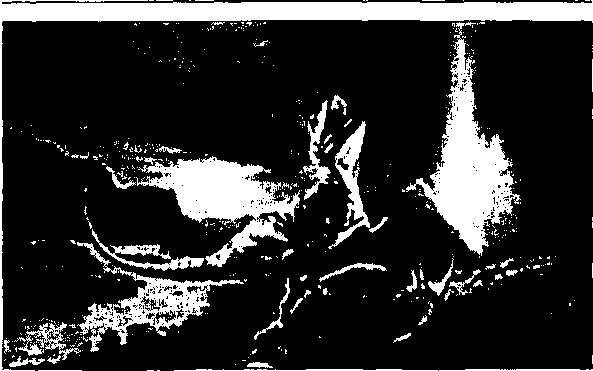 Пришельцы из прошлого - _82.jpg