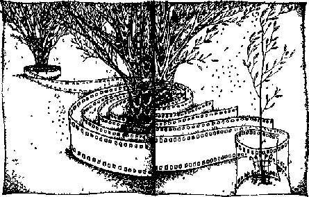 Бумеранг Зорича - any2fbimgloader0.png