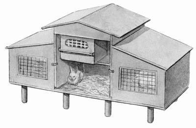 Декоративные кролики - i_006.jpg