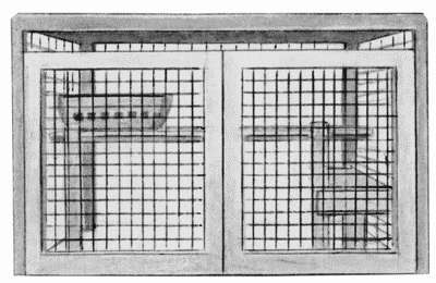 Декоративные кролики - i_008.jpg