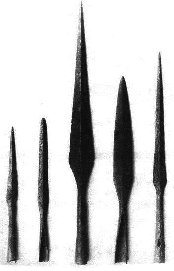 Варяжская гвардия Византии - i_008.png