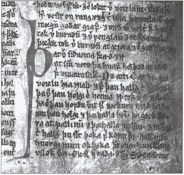 Варяжская гвардия Византии - i_027.jpg