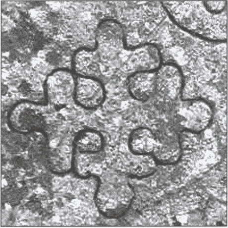 Варяжская гвардия Византии - i_028.jpg