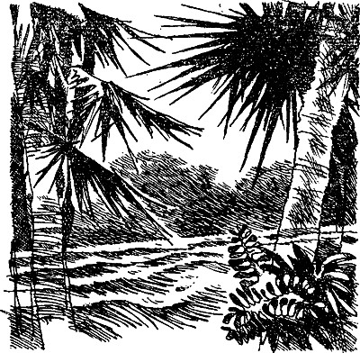 Маяк на Дельфиньем (сборник) - i_006.jpg