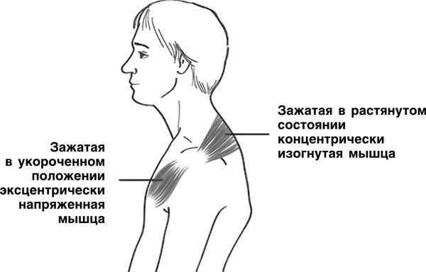 Самомоделирование тела и лица. Система Осьмионика. Как обрести красивую осанку - r10.jpg