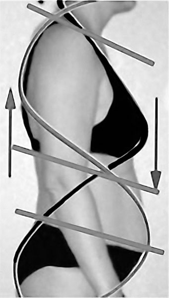 Самомоделирование тела и лица. Система Осьмионика. Как обрести красивую осанку - r11.jpg