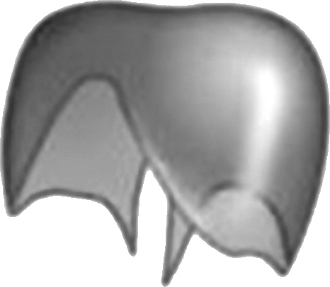 Самомоделирование тела и лица. Система Осьмионика. Как обрести красивую осанку - r18.jpg