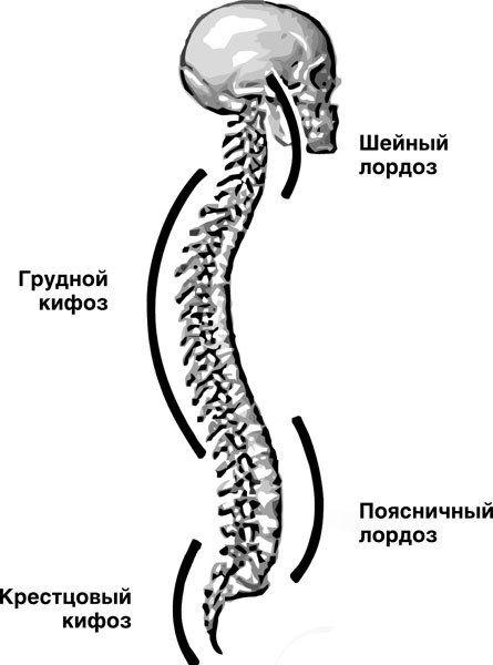 Самомоделирование тела и лица. Система Осьмионика. Как обрести красивую осанку - r20.jpg