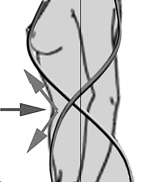 Самомоделирование тела и лица. Система Осьмионика. Как обрести красивую осанку - r27.jpg