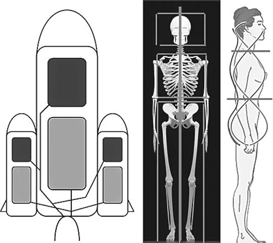 Система Осьмионика. Самомоделирование осанки. Коррекция верхней половины тела - _1.jpg
