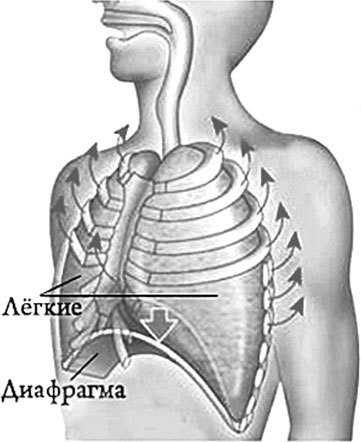 Система Осьмионика. Самомоделирование осанки. Коррекция верхней половины тела - _11.jpg