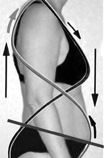 Система Осьмионика. Самомоделирование осанки. Коррекция верхней половины тела - _5.jpg