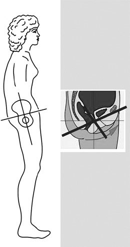 Система Осьмионика. Самомоделирование осанки. Коррекция верхней половины тела - _8.jpg