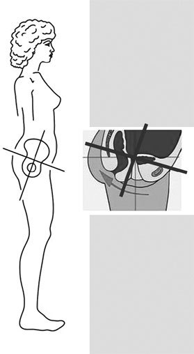 Система Осьмионика. Самомоделирование осанки. Коррекция верхней половины тела - _9.jpg