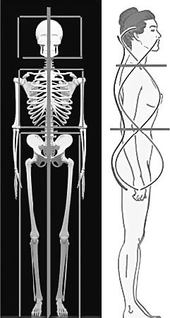 Система Осьмионика. Фасциальные растяжки тела - _10.jpg