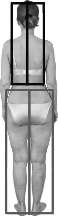 Система Осьмионика. Фасциальные растяжки тела - _18.jpg