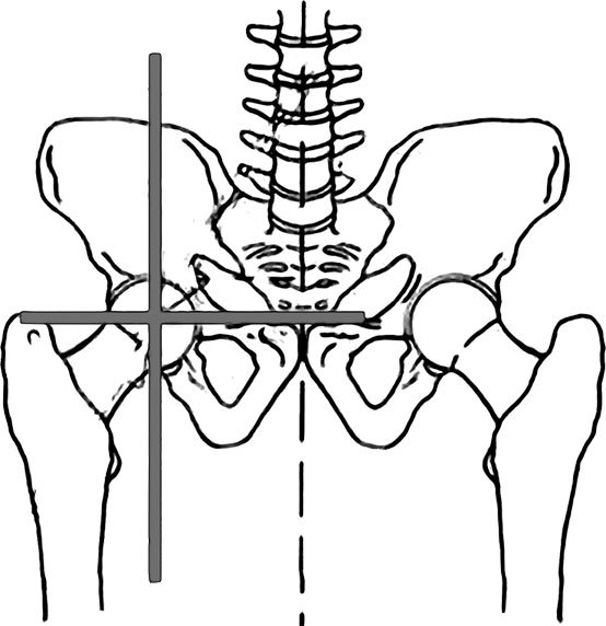 Система Осьмионика. Фасциальные растяжки тела - _20.jpg