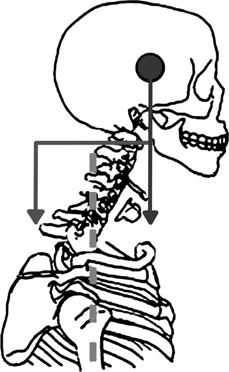 Система Осьмионика. Фасциальные растяжки тела - _23.jpg