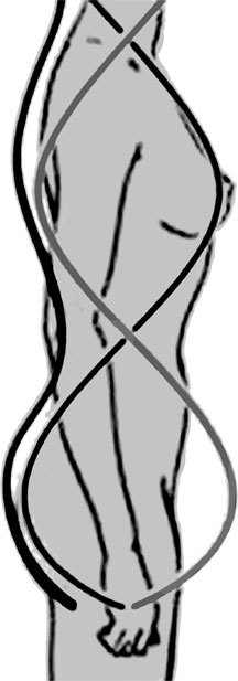 Система Осьмионика. Фасциальные растяжки тела - _25.jpg