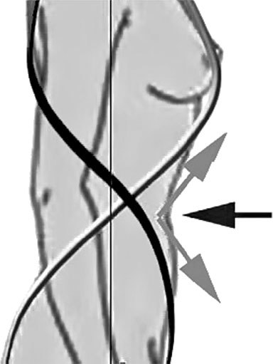Система Осьмионика. Фасциальные растяжки тела - _26.jpg