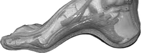 Система Осьмионика. Фасциальные растяжки тела - _30.jpg