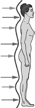 Система Осьмионика. Фасциальные растяжки тела - _4.jpg