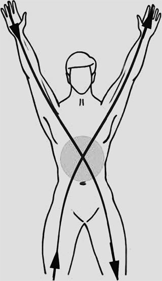 Система Осьмионика. Фасциальные растяжки тела - _5.jpg