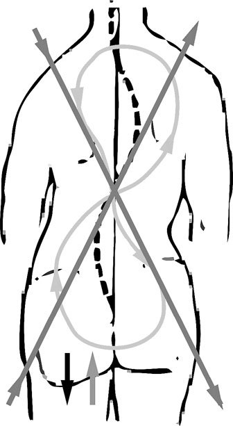 Система Осьмионика. Фасциальные растяжки тела - _6.jpg