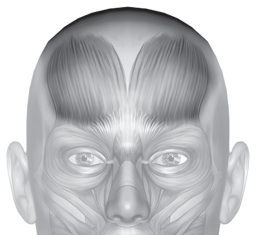 Фитнес для лица. Система Ревитоника - i_004.jpg