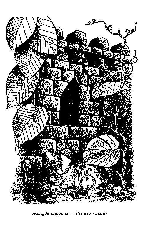 Аршин, сын Вершка - pic_14.png