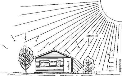 Садовые деревья и кустарники - i_001.jpg