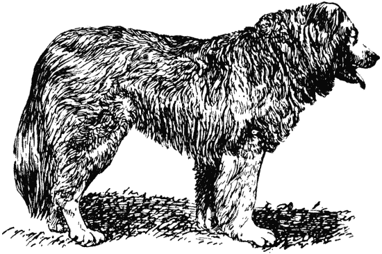 Техника дрессировки служебных собак - i_008.png