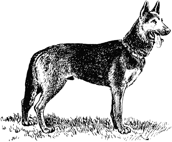 Техника дрессировки служебных собак - i_011.png