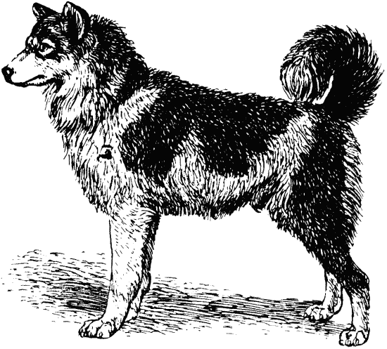 Техника дрессировки служебных собак - i_017.png