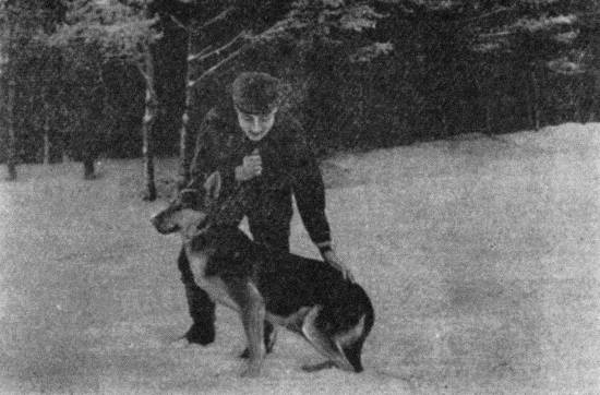 Техника дрессировки служебных собак - i_026.jpg