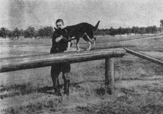 Техника дрессировки служебных собак - i_034.jpg