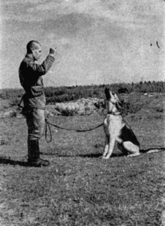 Техника дрессировки служебных собак - i_035.jpg