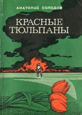  Солодов Анатолий Семенович - Красные тюльпаны