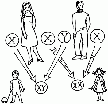 1001 вопрос будущей мамы - i_006.png