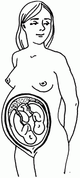 1001 вопрос будущей мамы - i_029.png