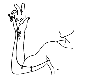 Акупунктура - i_010.png