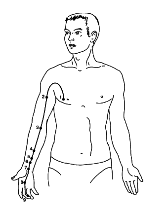 Акупунктура - i_014.png