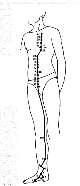 Акупунктура - i_023.png