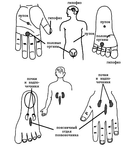 Акупунктура - i_049.png