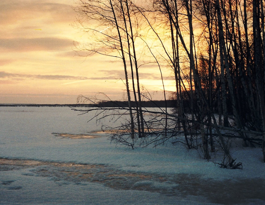 Прогулки с Лешим - _1.jpg